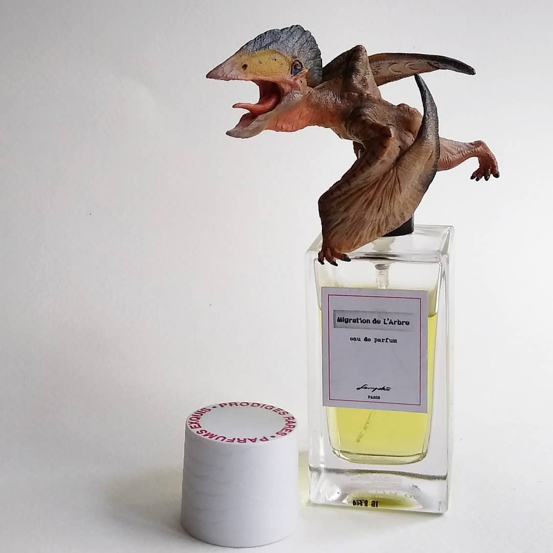 Migration de l’Arbre: Senyoko Paris