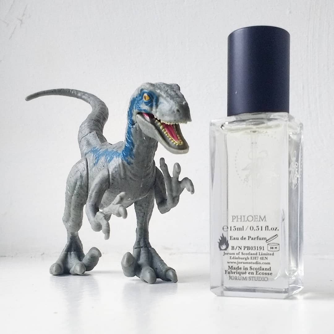 Phloem: Jorum Studio