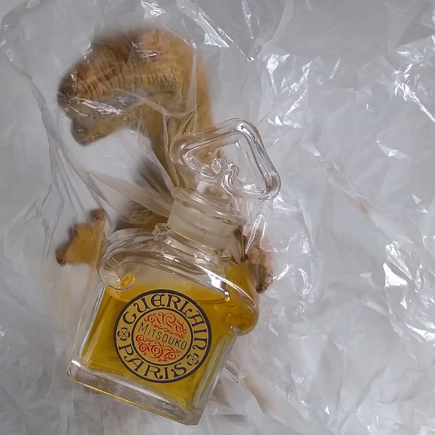 How to turn into a ghost without dying