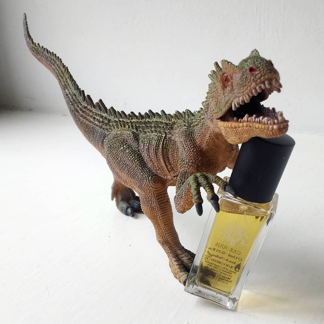 Carduus: Jorum Studio