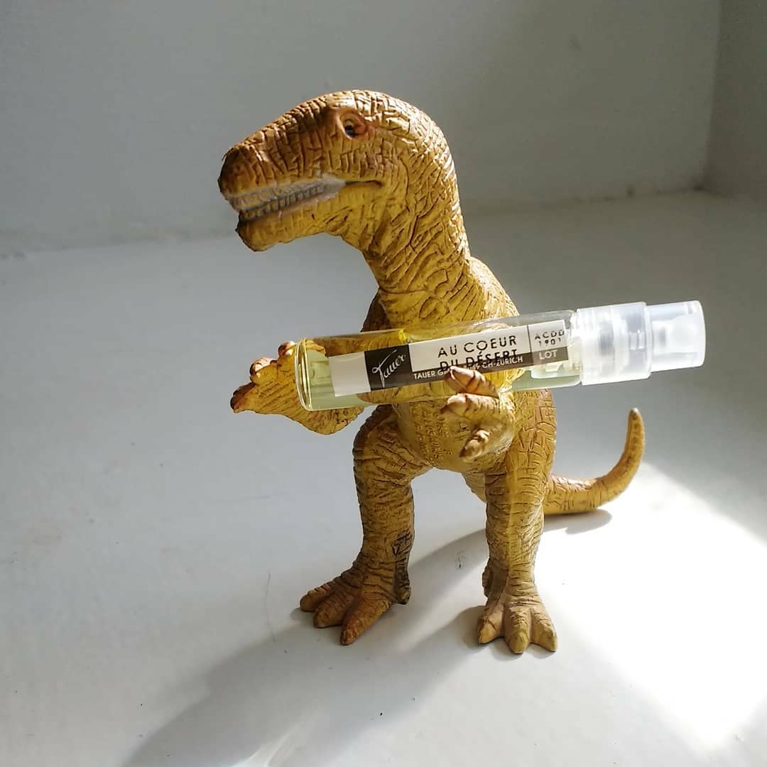 Au Coeur du Désert: Tauer