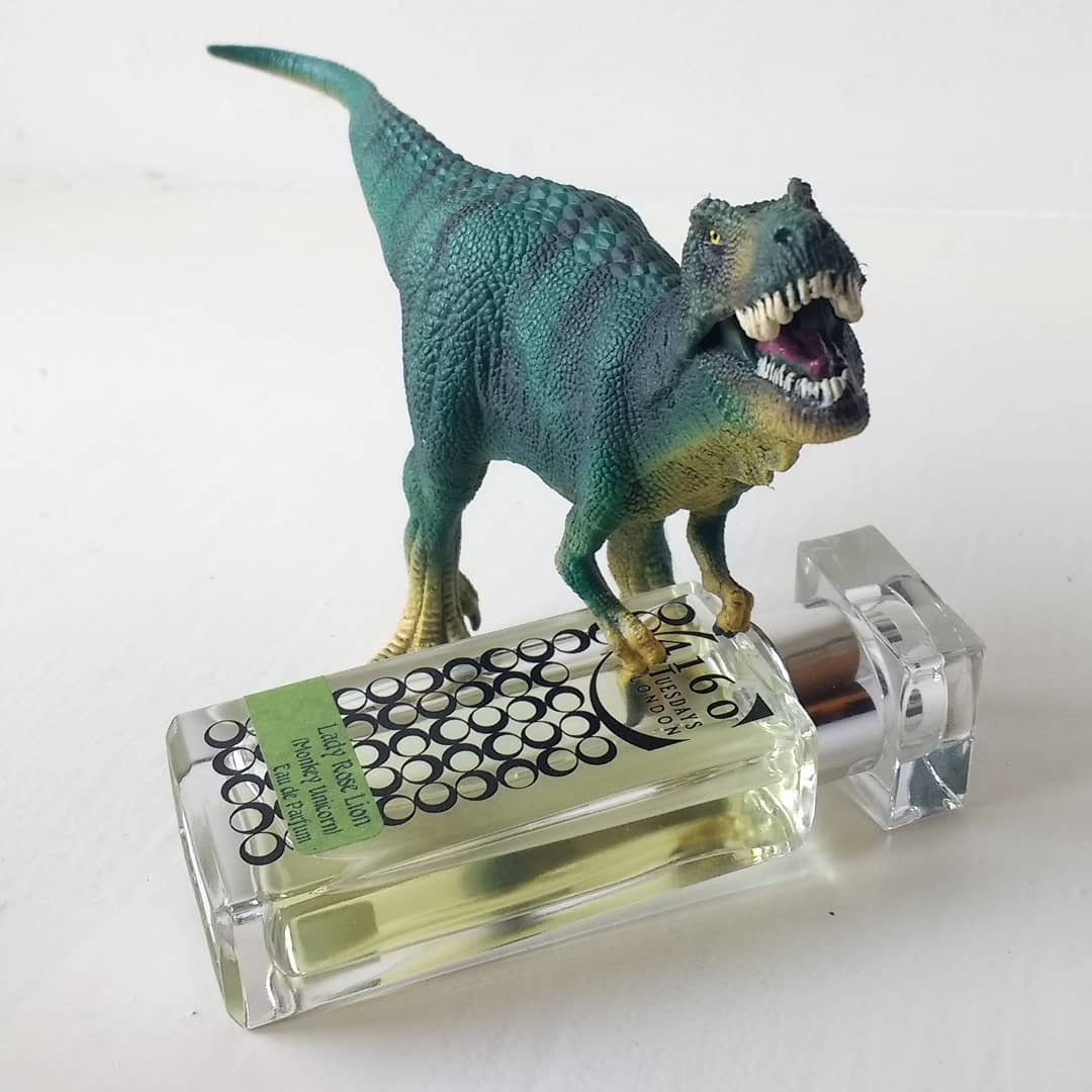 Lady Rose Lion (Monkey Unicorn): 4160 Tuesdays