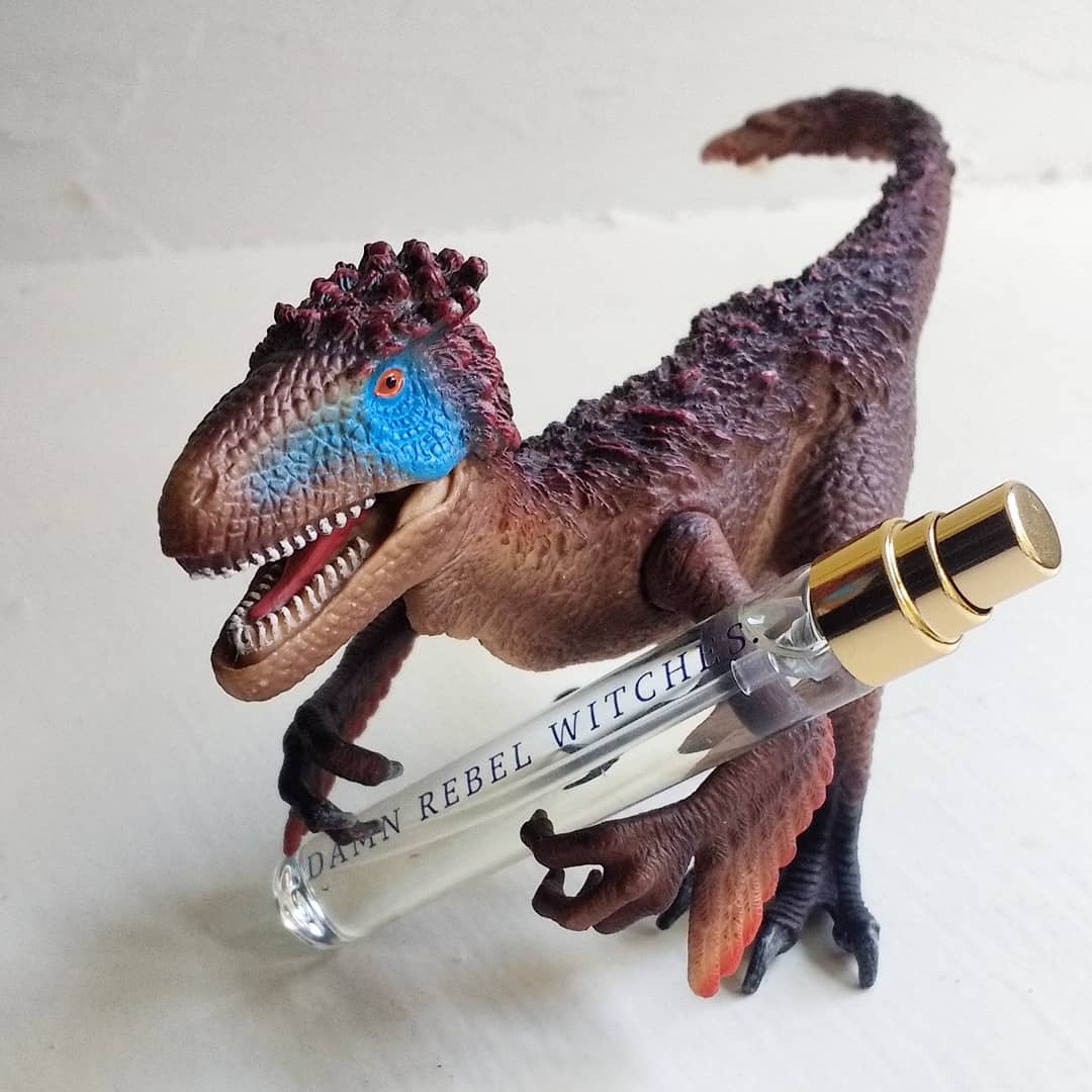 Damn Rebel Witches: Reek