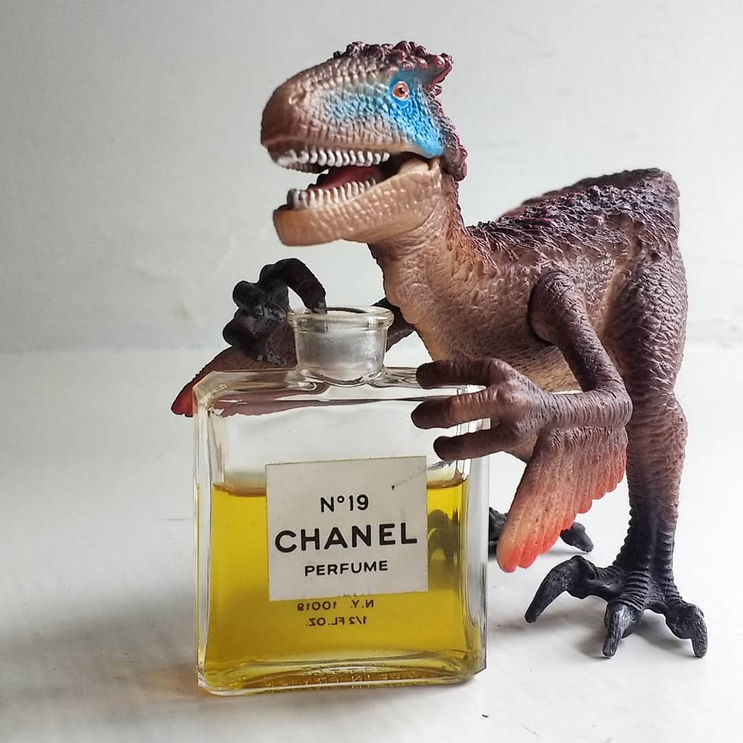 Chanel 19 parfum: Chanel