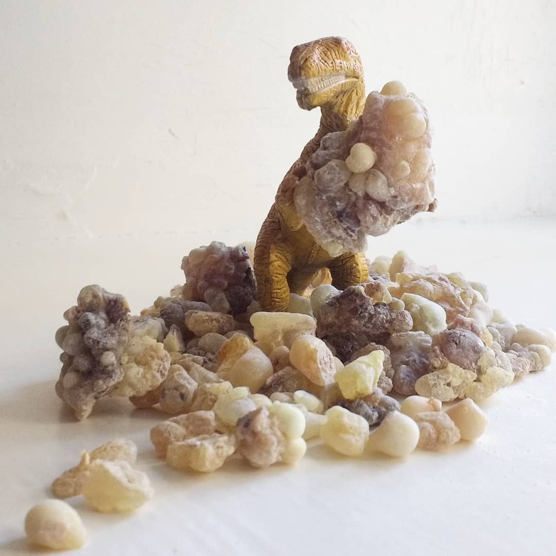 How do we think about scent without scent words?