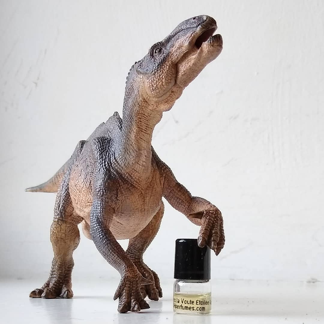 Vers la Voute Etoilée: DSH perfumes