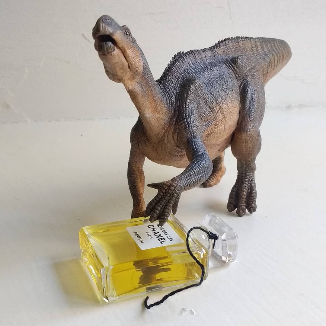 Bois des Iles parfum: Chanel