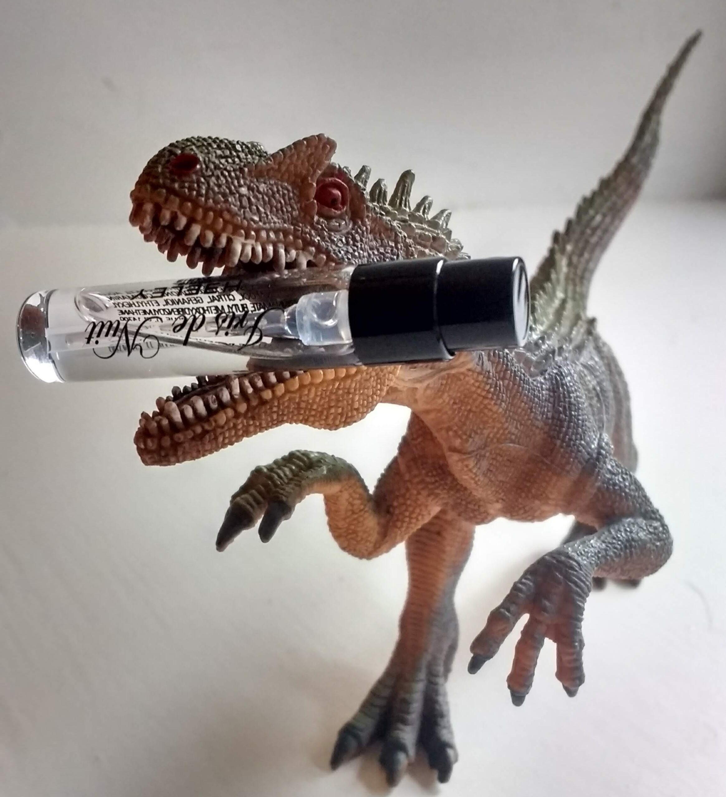 Iris de nuit: Heeley